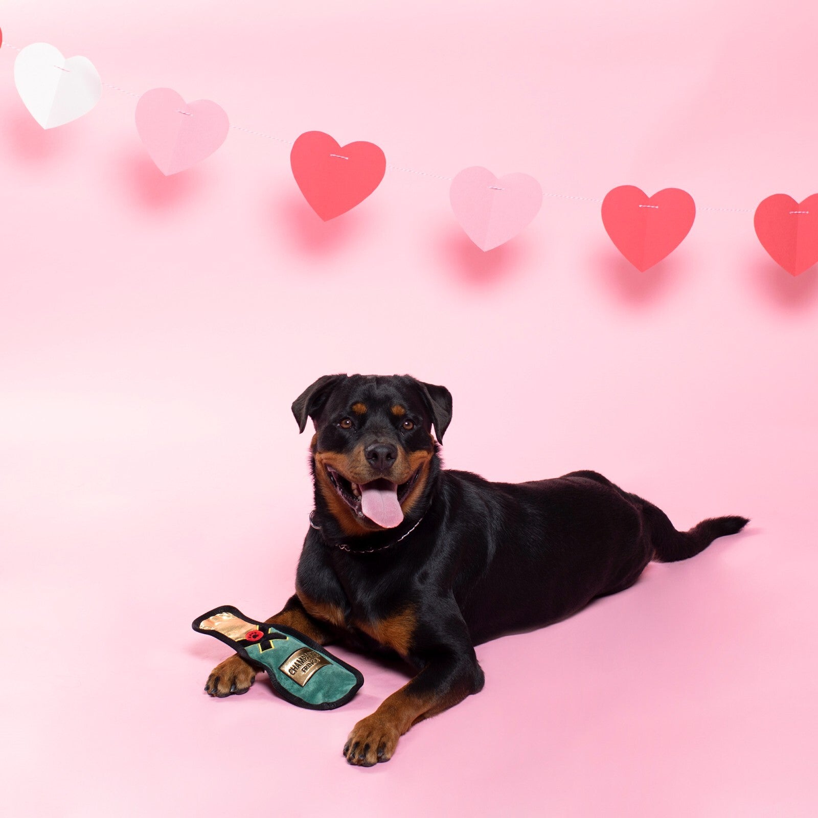 FRINGE STUDIO - Bubbly Love Durable Plush Dog Toy