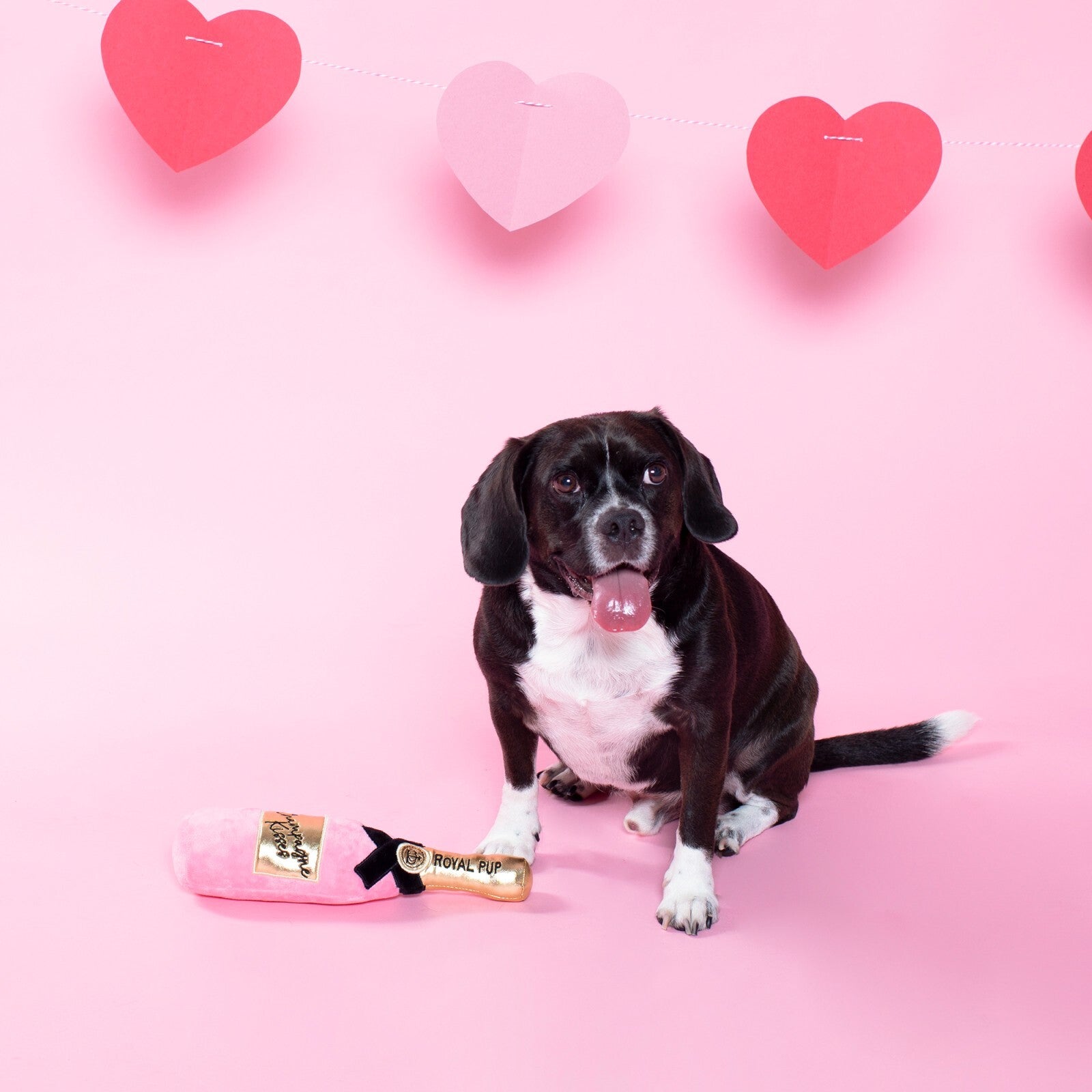 FRINGE STUDIO - Champagne Kisses Plush Dog Toy