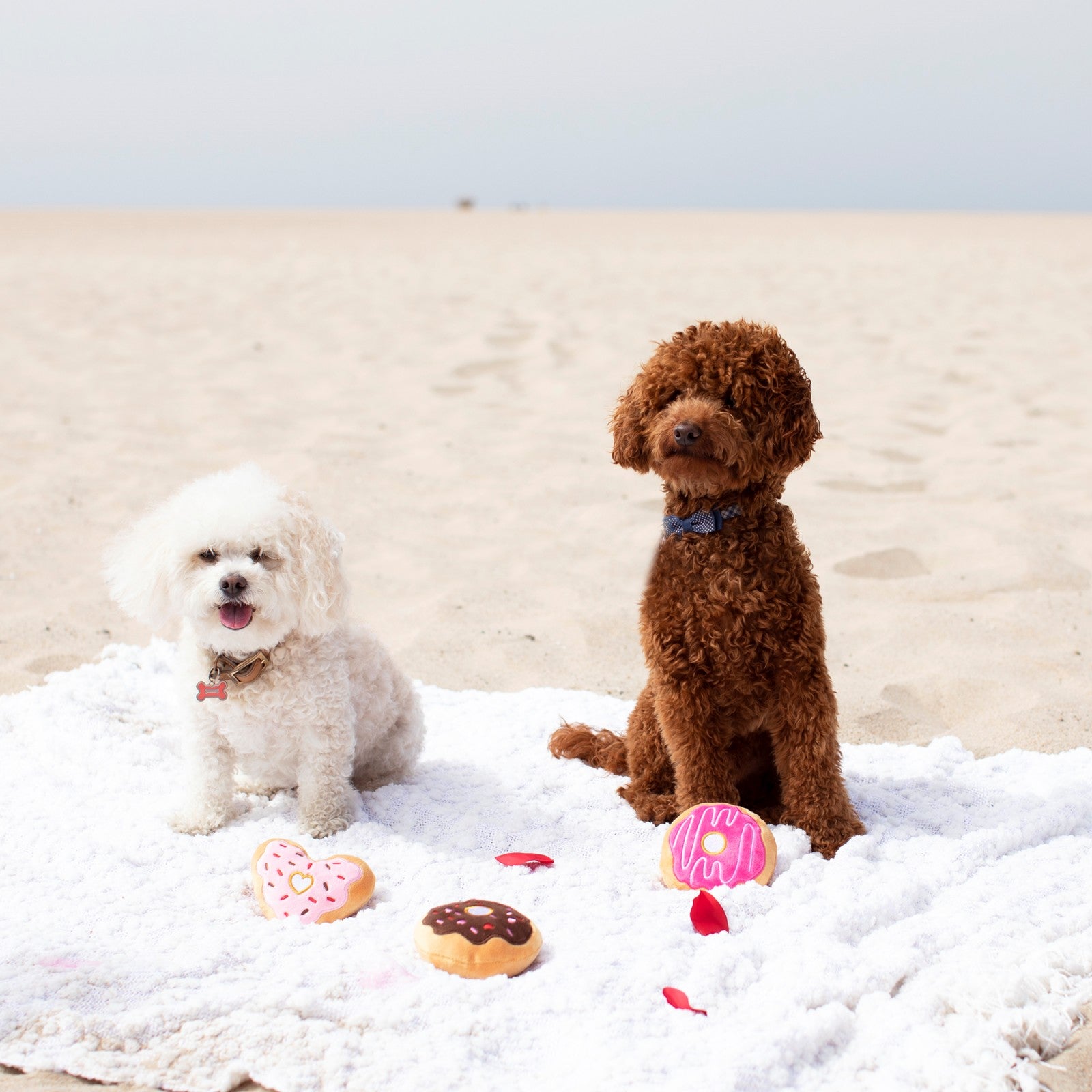 FRINGE STUDIO - Donut U Know I Love U 3-piece Small Dog Toy Set