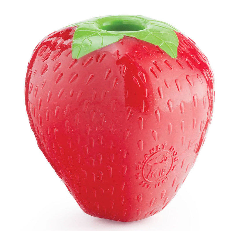 PLANET DOG - Strawberry Red Slow Feeder