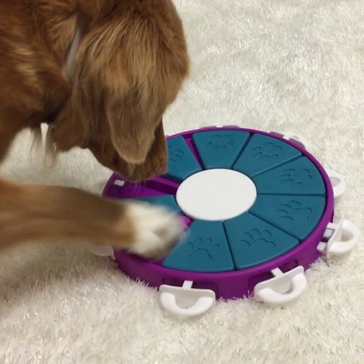 NINA OTTOSSON - Dog Twister Purple Puzzle Toy