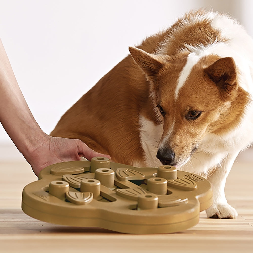 NINA OTTOSSON - Dog Hide N Slide Composite Puzzle Toy