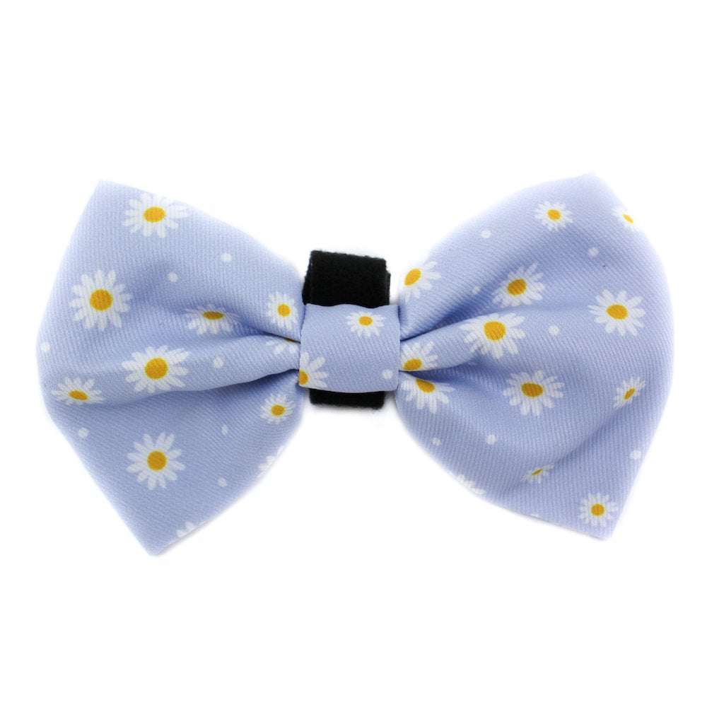 PABLO & CO - Blue Daisy Bowtie