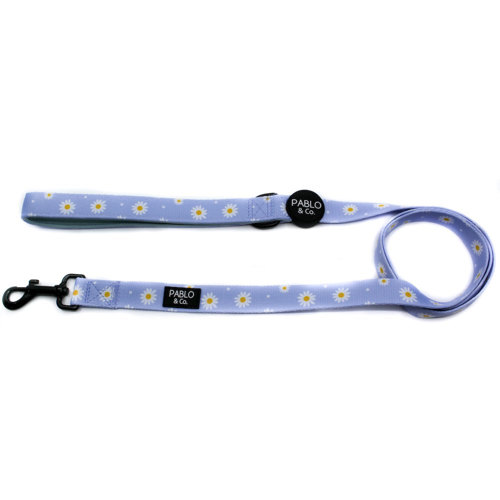 PABLO & CO - Blue Daisy Adjustable Dog Leash