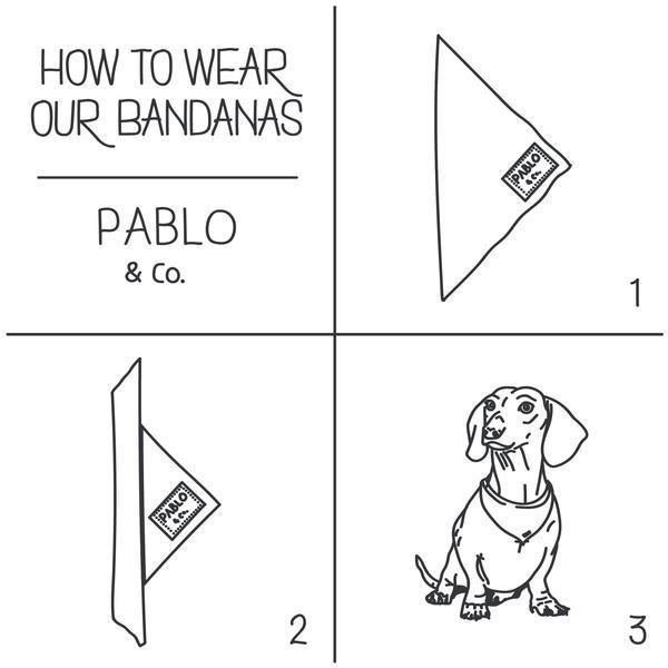 PABLO & CO - The Floral Edit Bandana