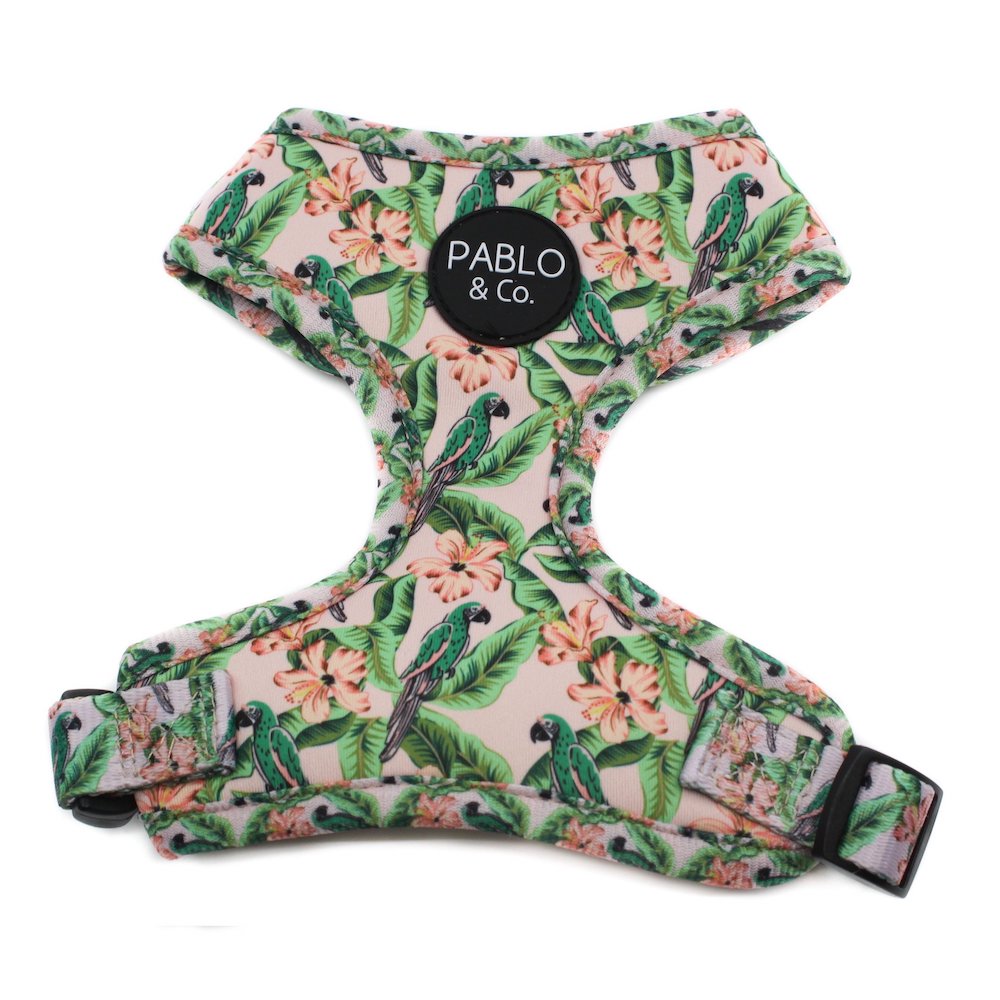 PABLO & CO - Blushing Parrots Adjustable Dog Harness