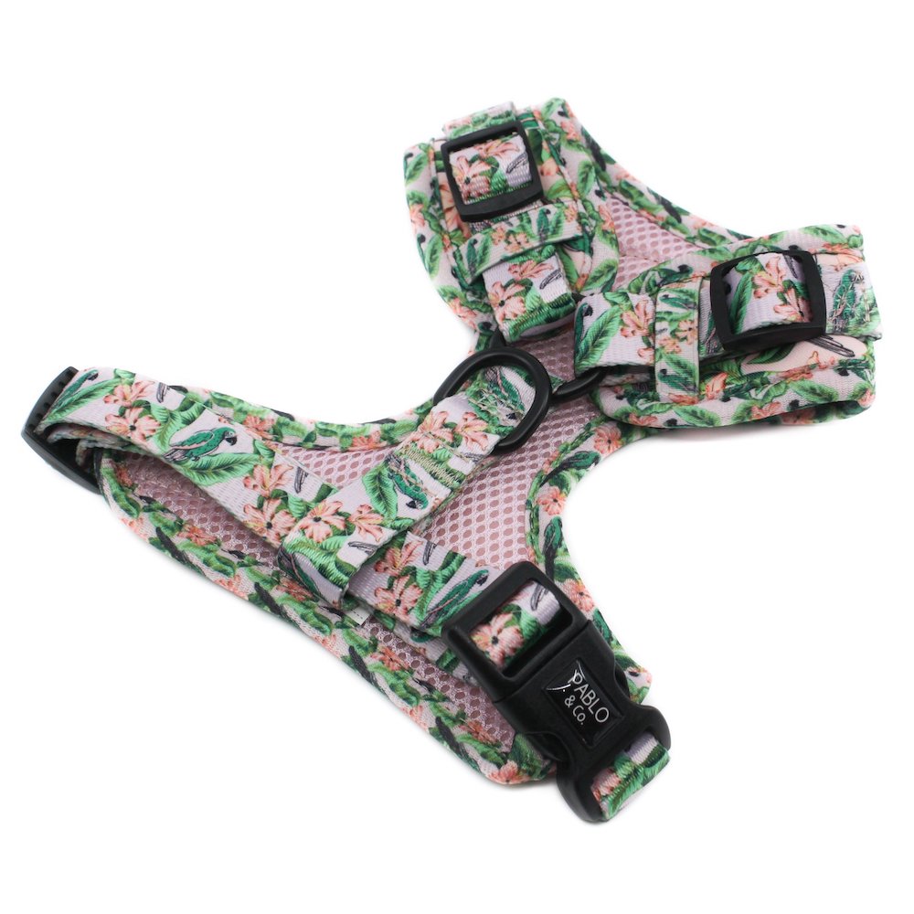 PABLO & CO - Blushing Parrots Adjustable Dog Harness