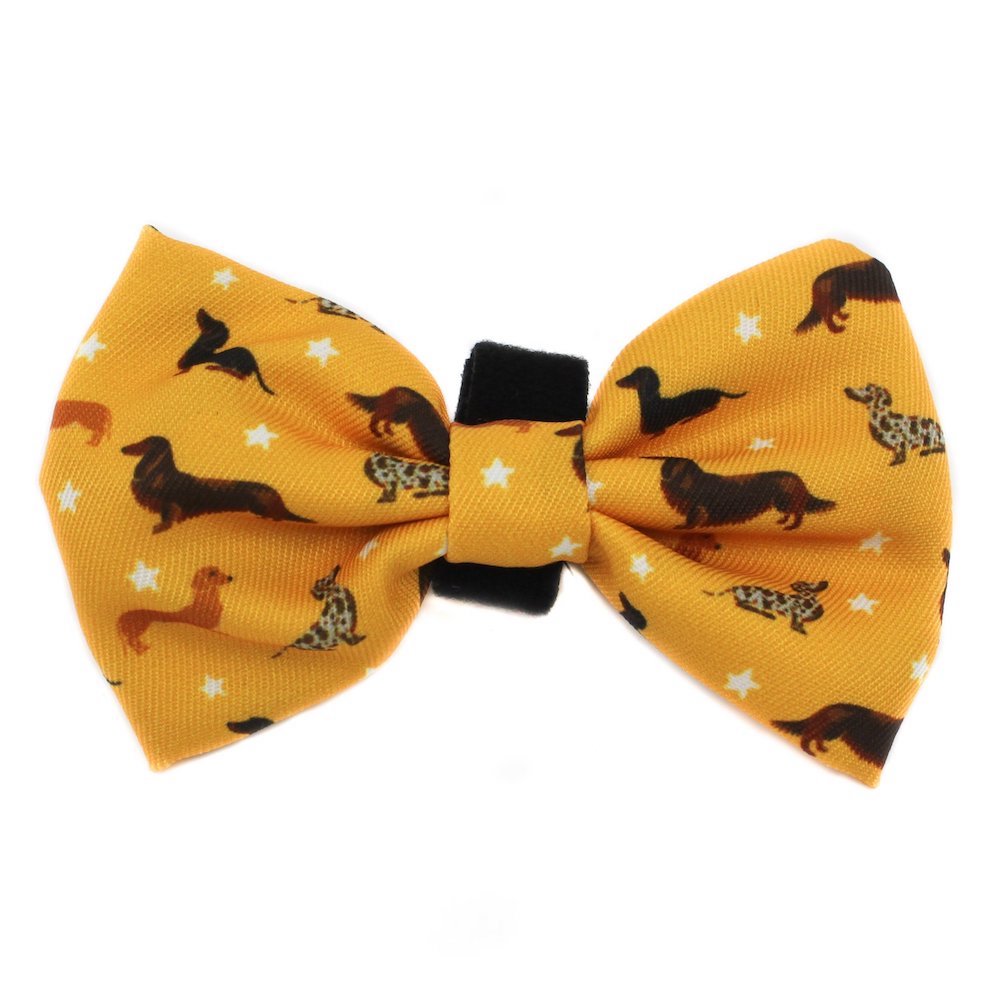 PABLO & CO - Dachshund Crew Bowtie