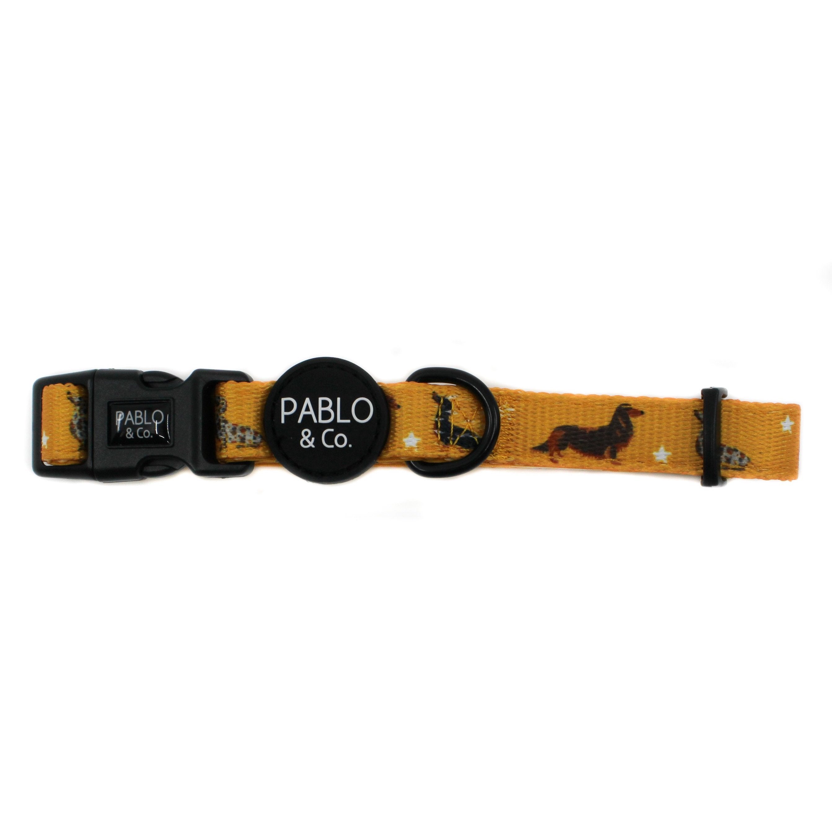 PABLO & CO - Dachshund Crew Dog Collar