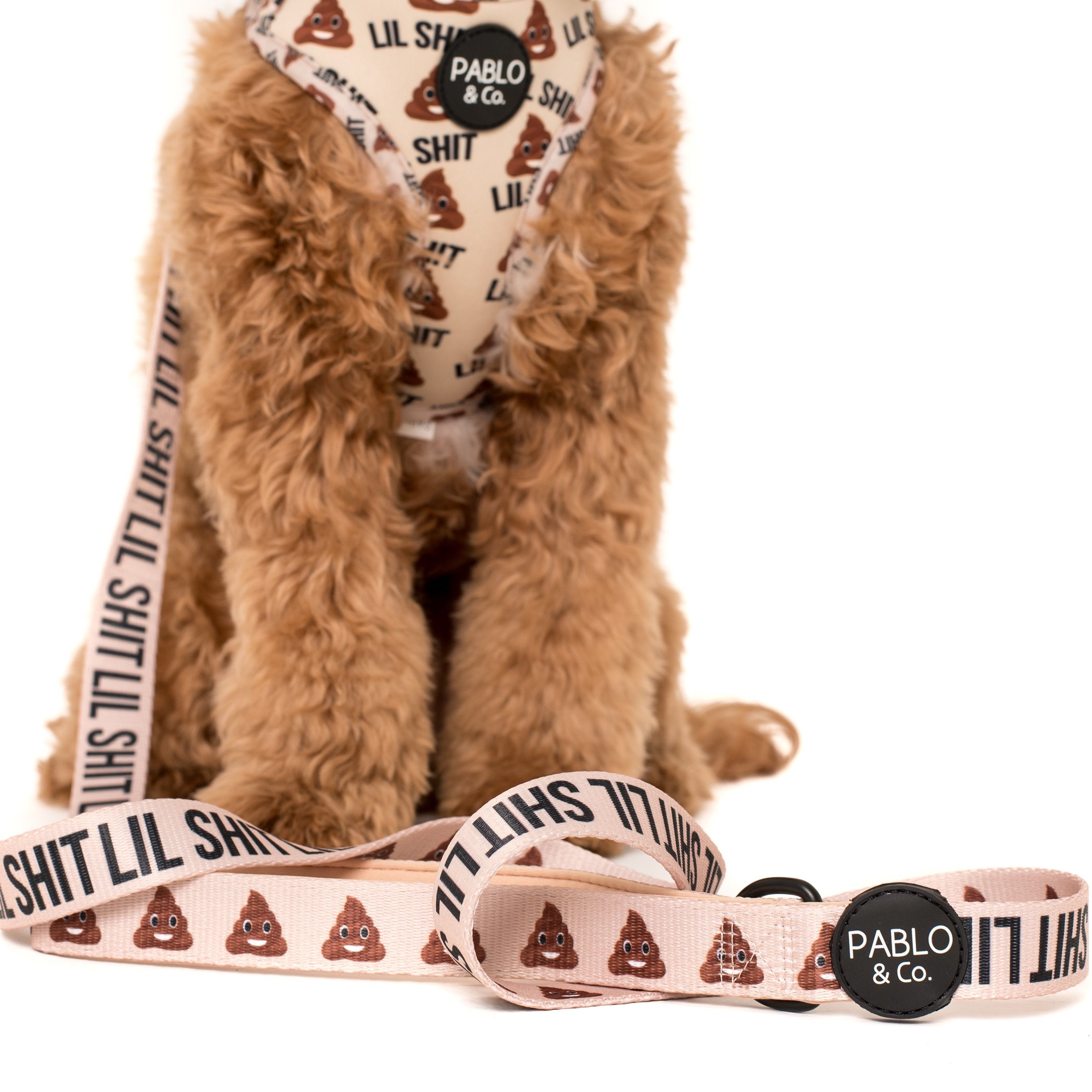 PABLO & CO - Lil Shit Dog Leash