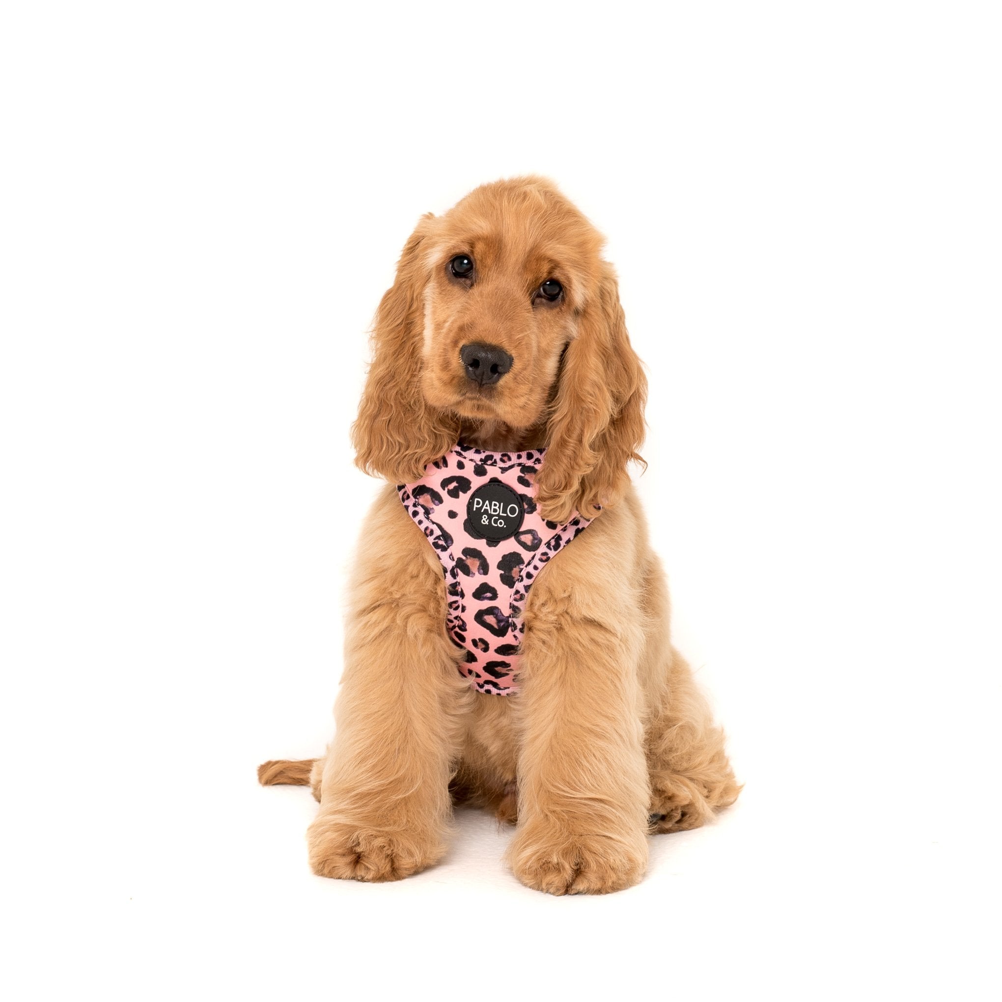 PABLO & CO - Pink Leopard Adjustable Dog Harness