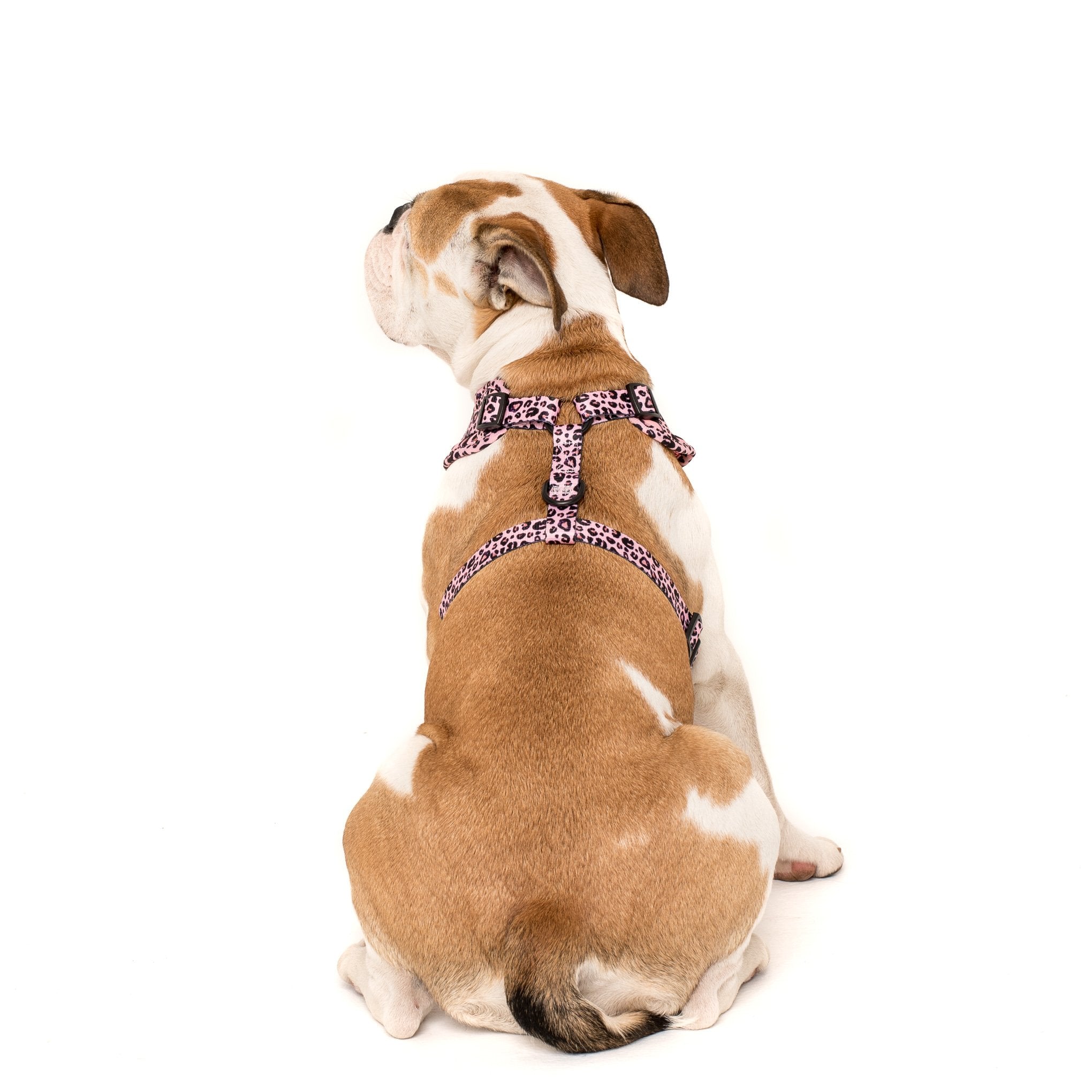 PABLO & CO - Pink Leopard Adjustable Dog Harness