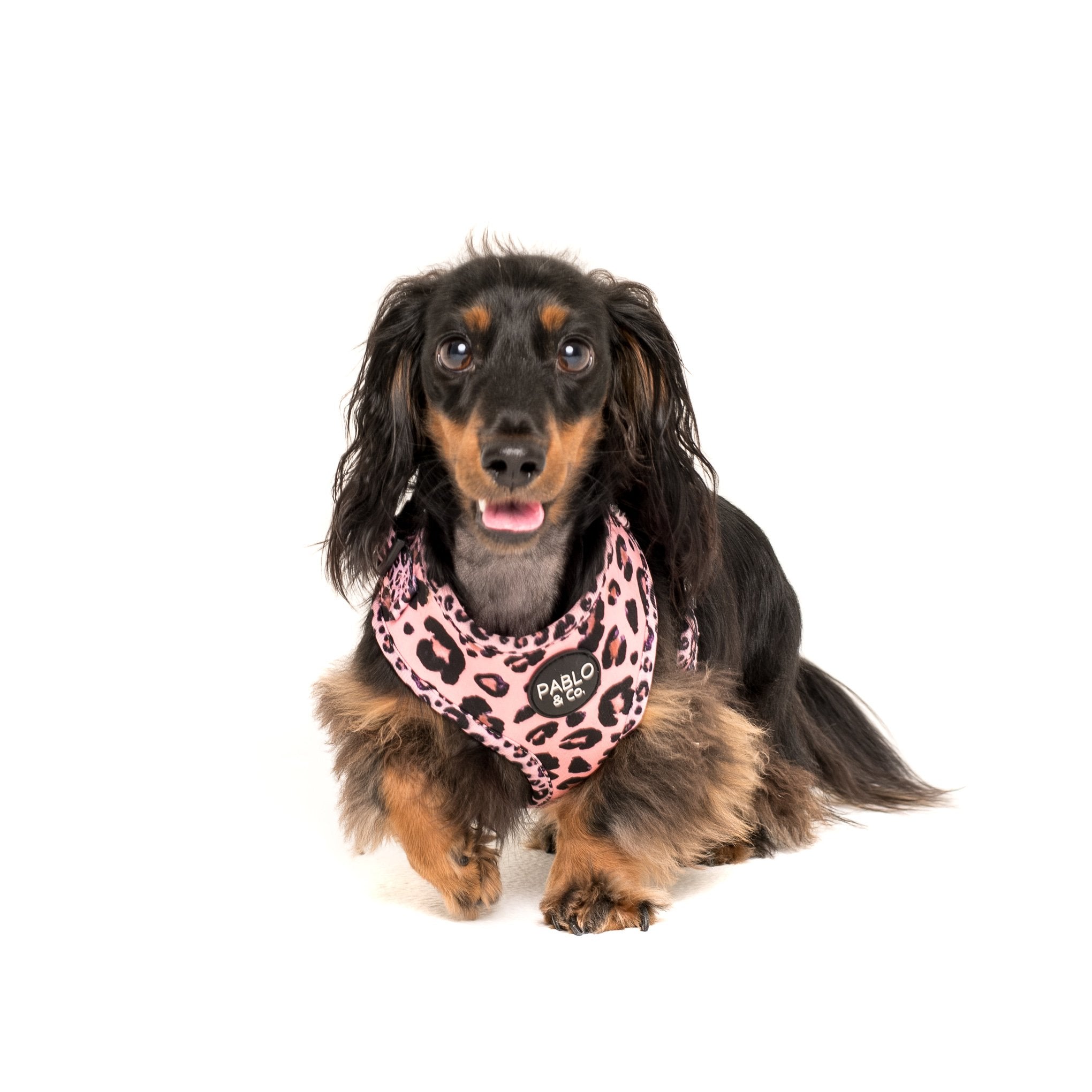 PABLO & CO - Pink Leopard Adjustable Dog Harness
