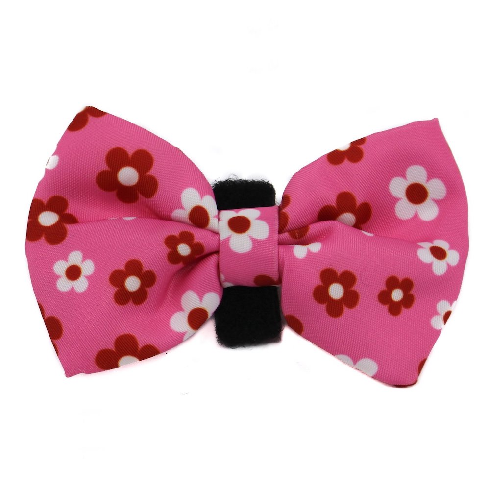 PABLO & CO - Flower Power Bowtie