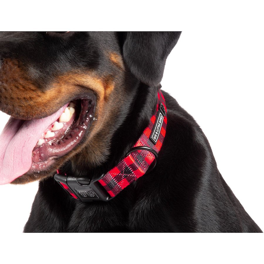 BIG & LITTLE DOGS - Plaid to the Bone Dog Collar & Bow Tie