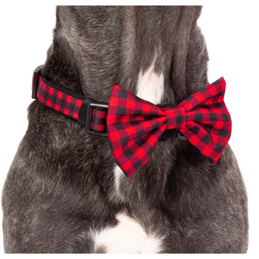BIG & LITTLE DOGS - Plaid to the Bone Dog Collar & Bow Tie