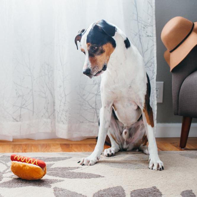 PLAY - American Classic Hot Diggy Dog Plush Toy
