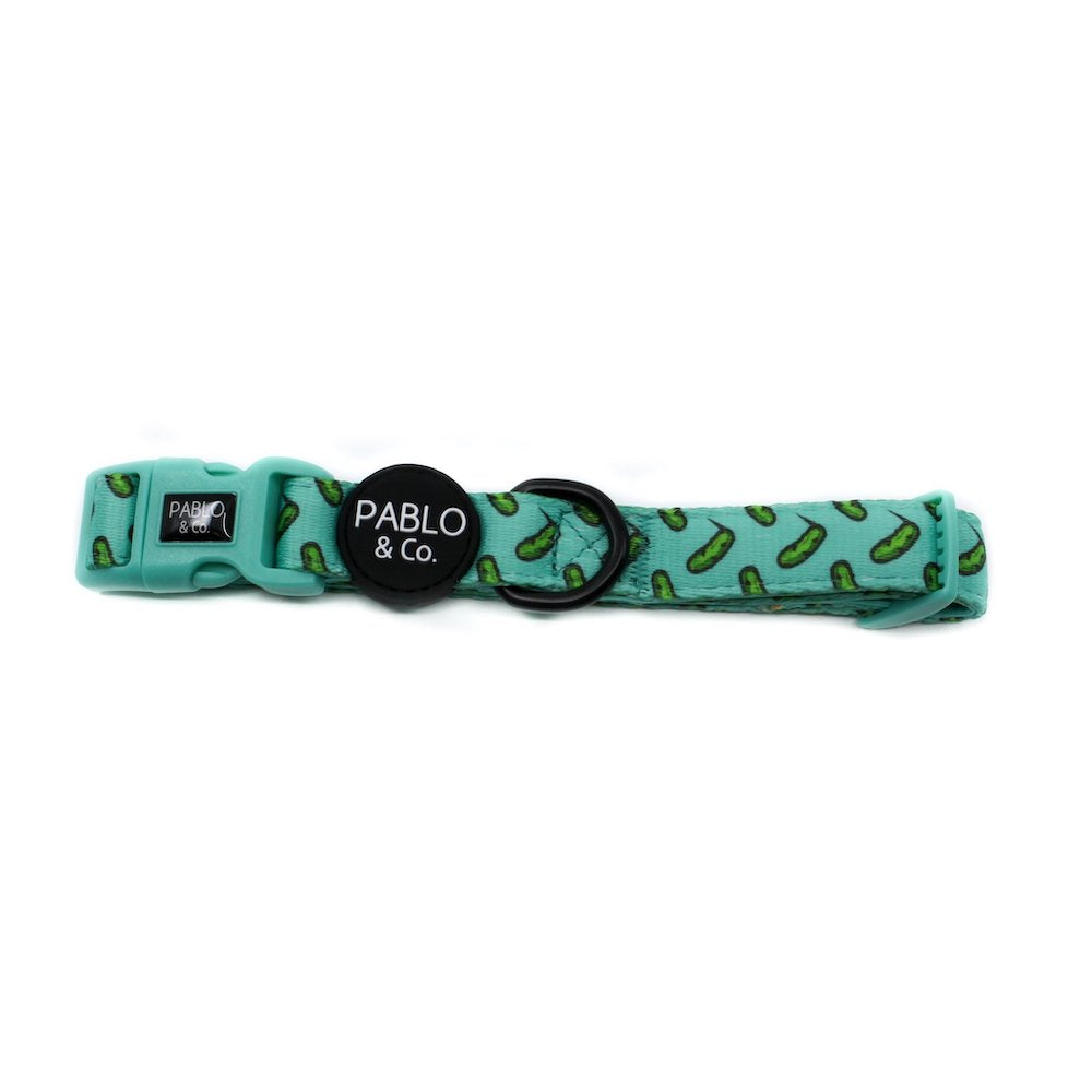PABLO & CO - Pickles Dog Collar
