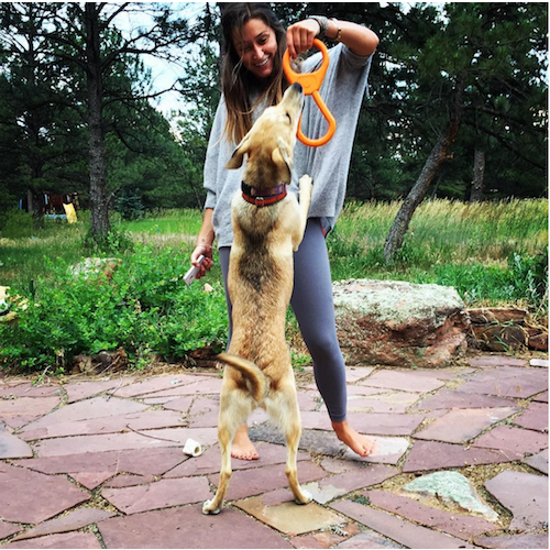 ROVER PET PRODUCTS - SodaPup Can Opener Tug Toy