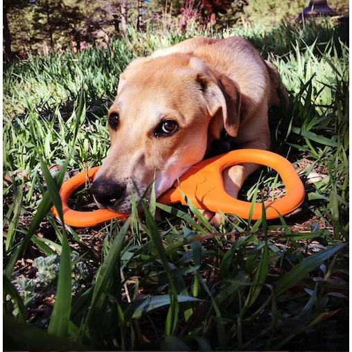 ROVER PET PRODUCTS - SodaPup Can Opener Tug Toy