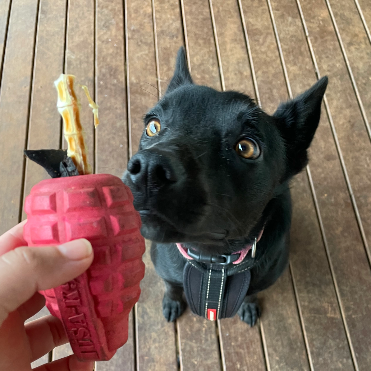 ROVER PET PRODUCTS - K9 Grenade Enrichment Toy