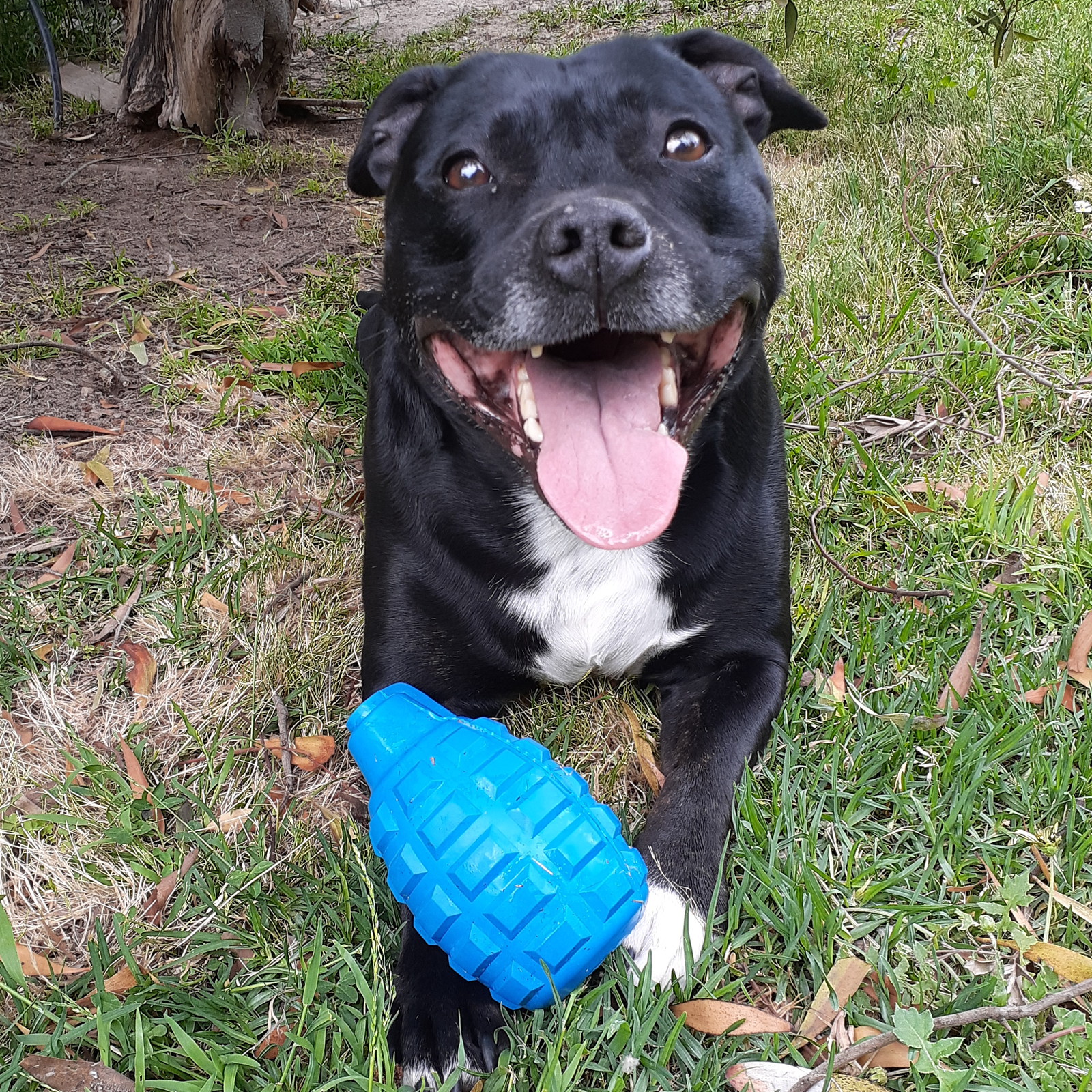 ROVER PET PRODUCTS - K9 Grenade Enrichment Toy