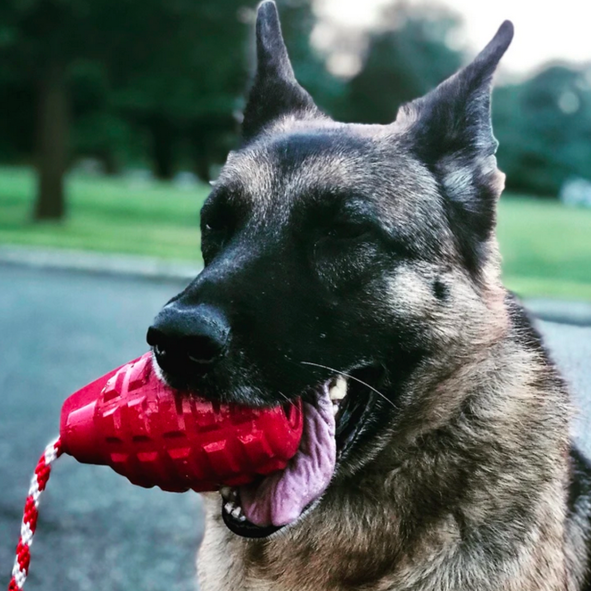 ROVER PET PRODUCTS - K9 Grenade Reward Toy