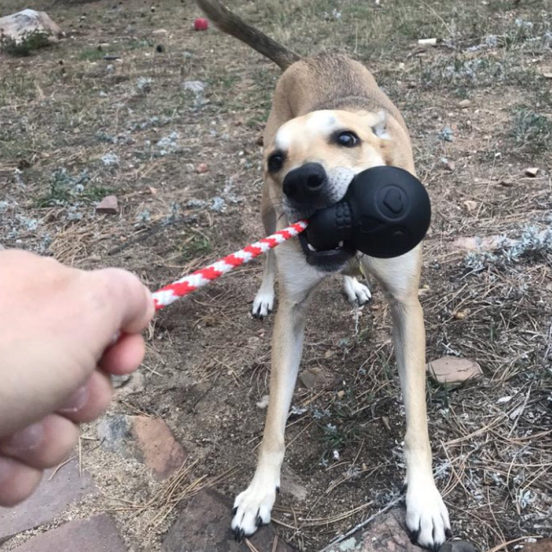 ROVER PET PRODUCTS - K9 Magnum Skull Reward Toy