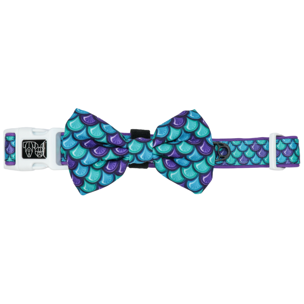 BIG & LITTLE DOGS - Scaled Back Dog Collar & Bow Tie