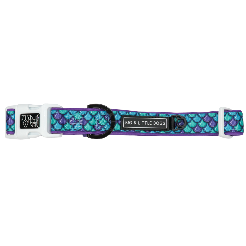 BIG & LITTLE DOGS - Scaled Back Dog Collar & Bow Tie
