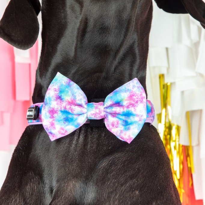 BIG & LITTLE DOGS - Tie Dye For Dog Collar & Bow Tie
