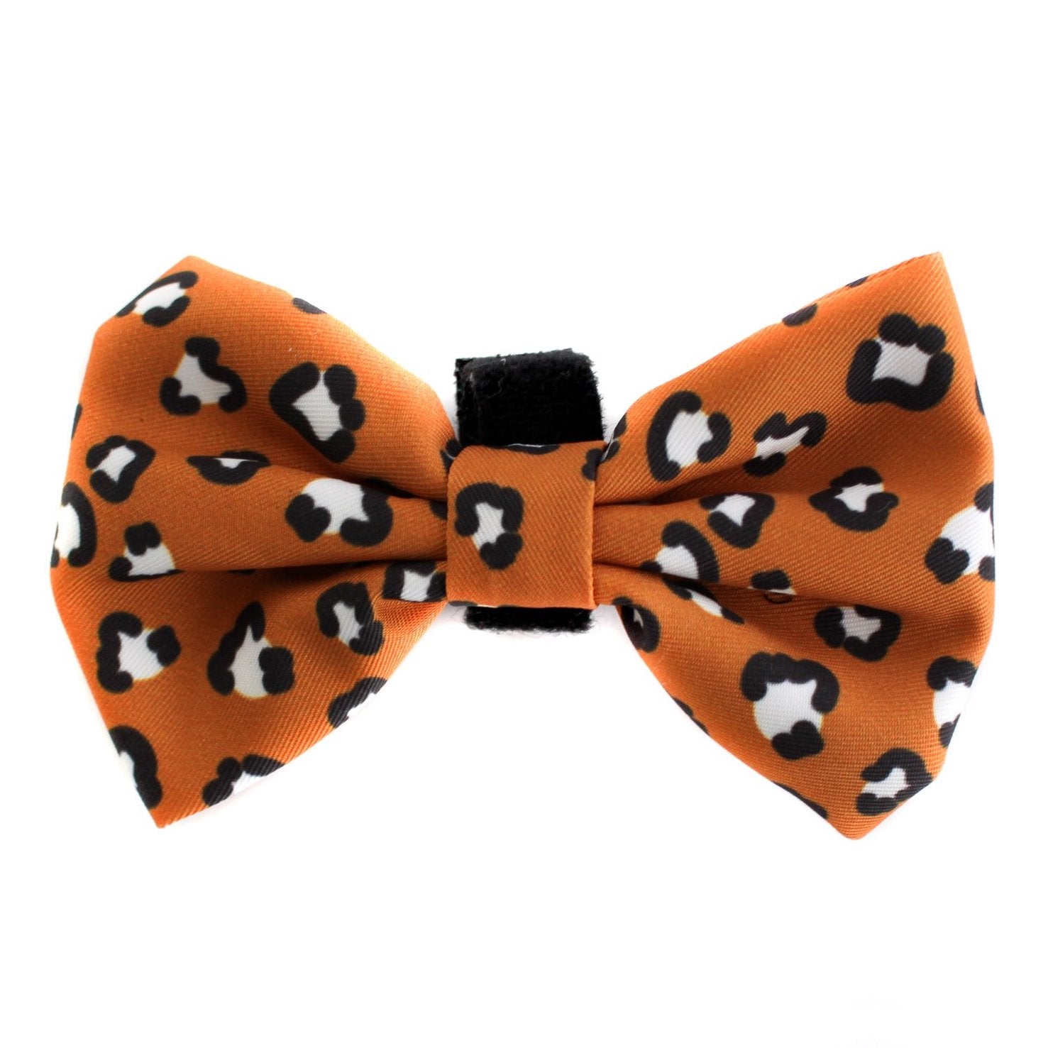 PABLO & CO - That Leopard Print Bowtie