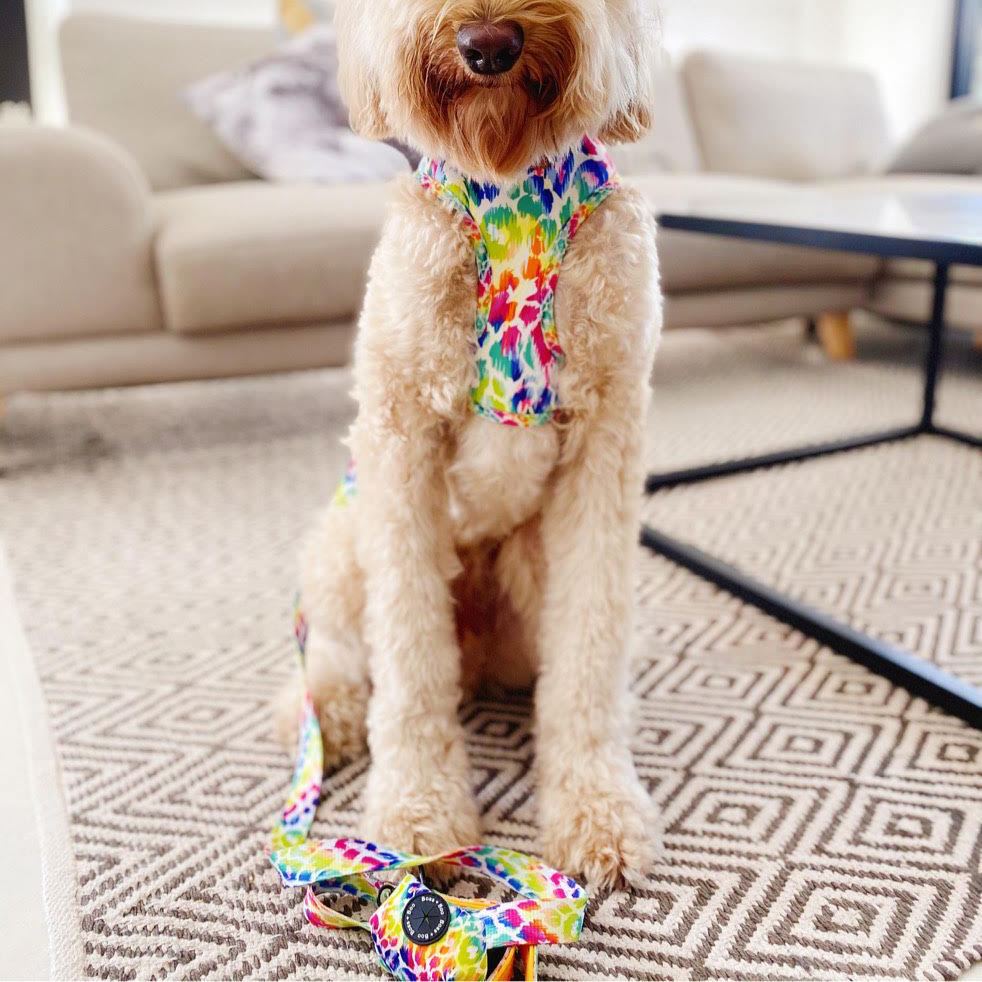 BOSS AND BOO - Utopia Dog Leash