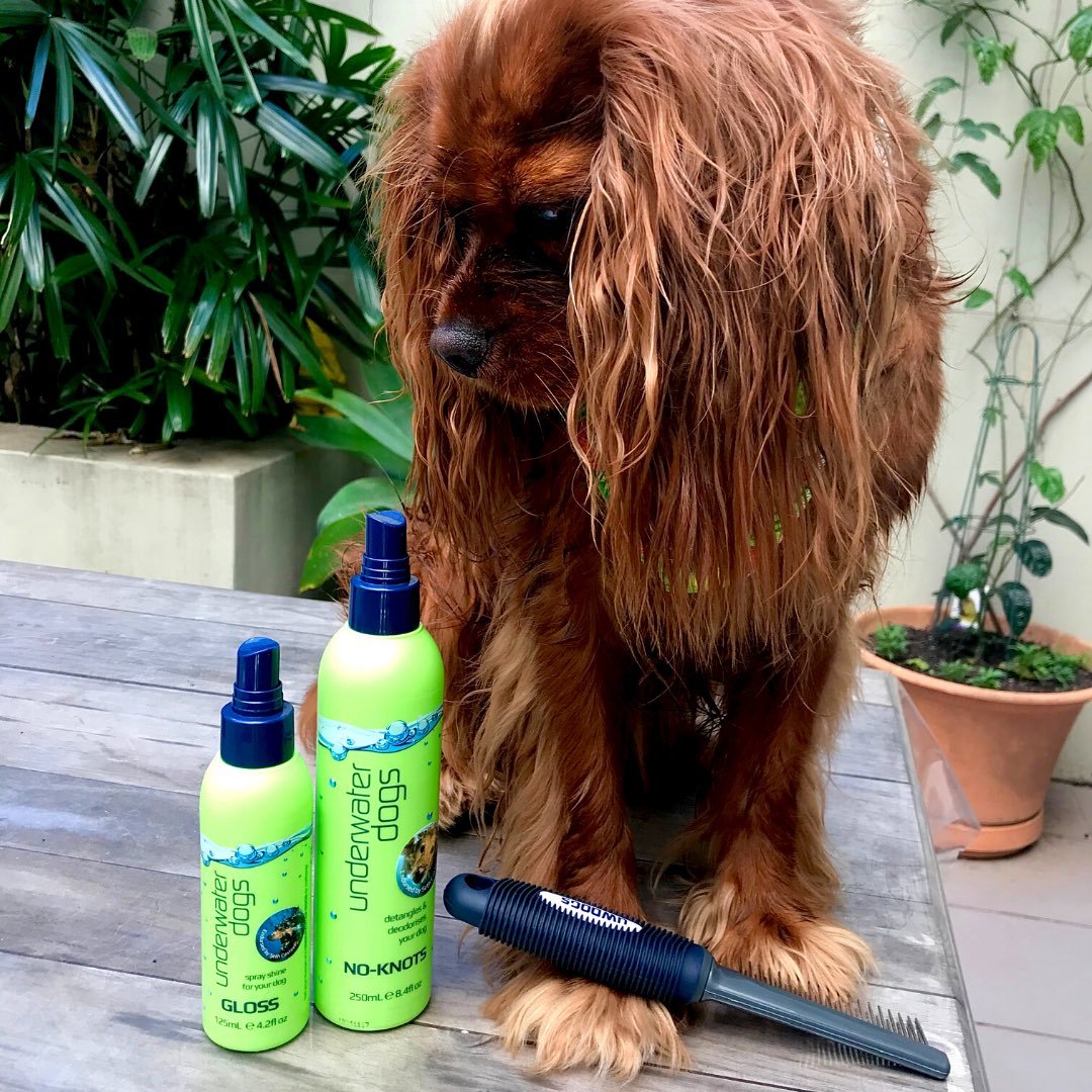 UNDERWATER DOGS - Professional Grooming Comb