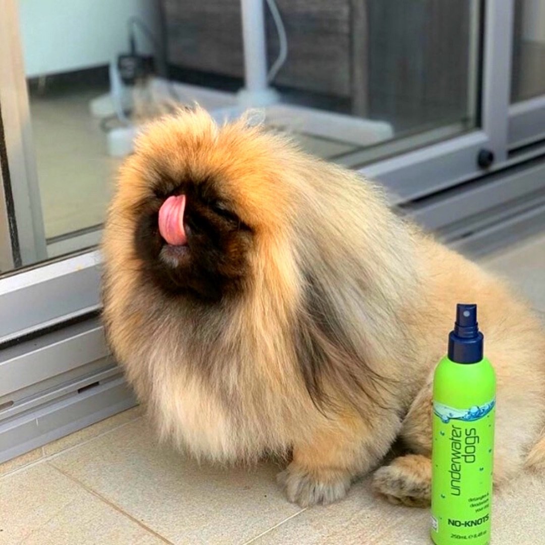 UNDERWATER DOGS - No-Knots Dog Detangler