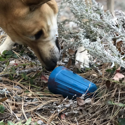ROVER PET PRODUCTS - Wire Nut Slow Feeder Toy
