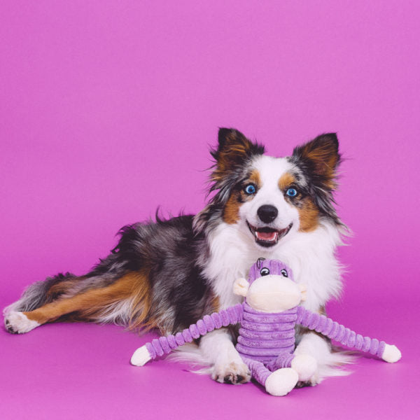 ZIPPY PAWS - Spencer the Crinkle Monkey Long Leg Plush Dog Toy Purple - Small