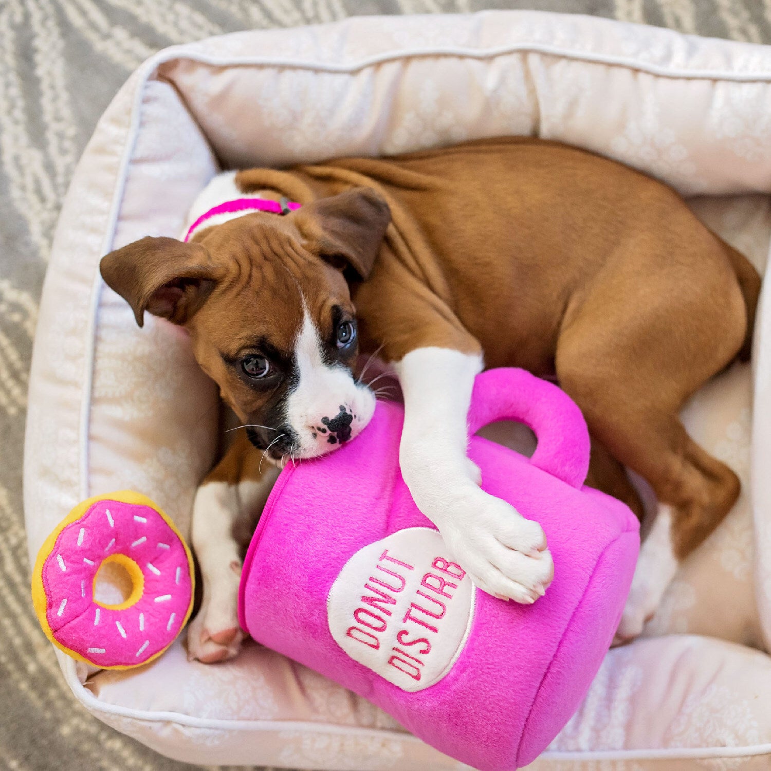 ZIPPY PAWS - Zippy Burrow Coffee and Donutz with 3 Squeaky Donuts