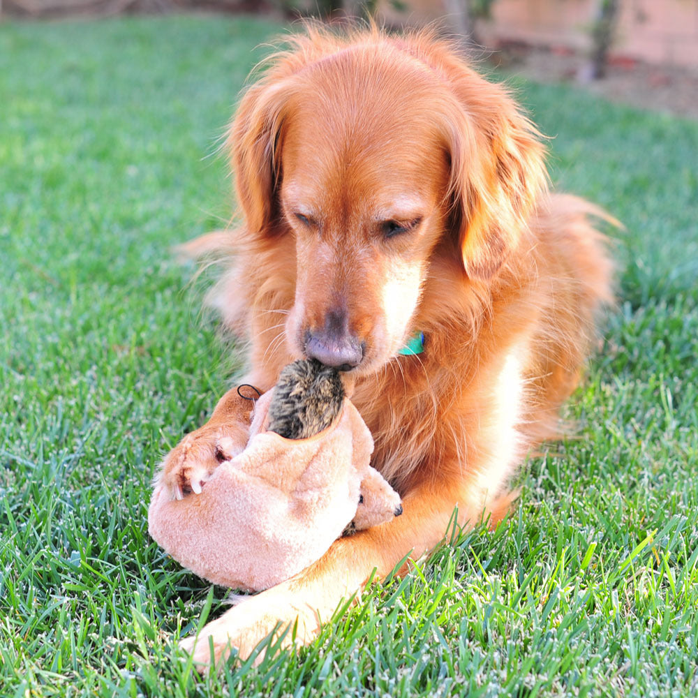 ZIPPY PAWS - Zippy Burrow Hedgehog Den Interactive Dog Toy