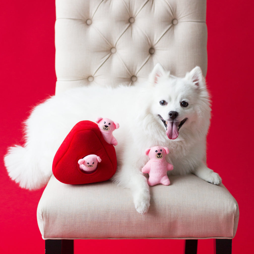 ZIPPY PAWS - Zippy Burrows Heart 'n Bears with 3 Squeaky Bears Plush Dog Toy