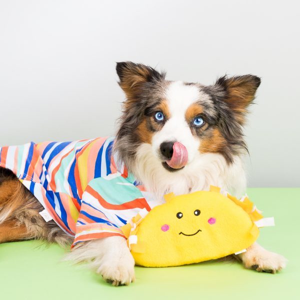 ZIPPY PAWS - NomNomz Jumbo Taco Squeaker Dog Toy