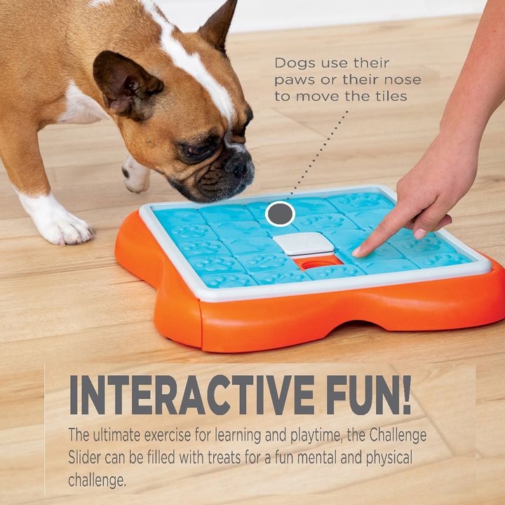 NINA OTTOSSON - Challenge Slider Dog Puzzle Toy