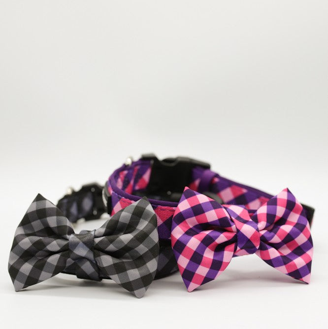 SOAPY MOOSE - The Fashionista Collar & Bow Tie