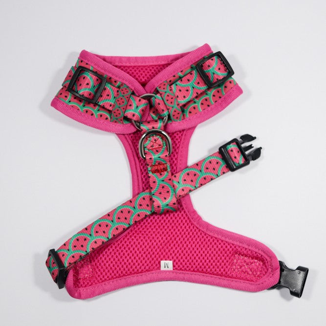 SOAPY MOOSE - Hot Pink Watermelon Adjustable Dog Harness