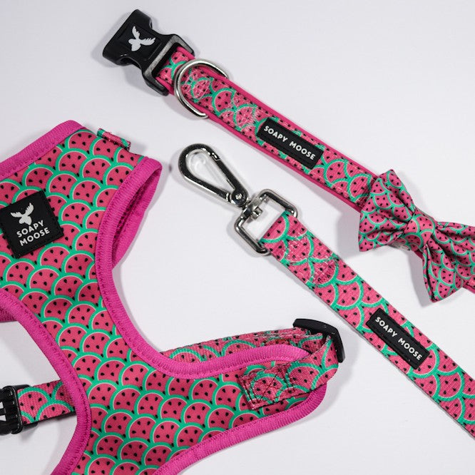 SOAPY MOOSE - Hot Pink Watermelon Collar & Bow Tie