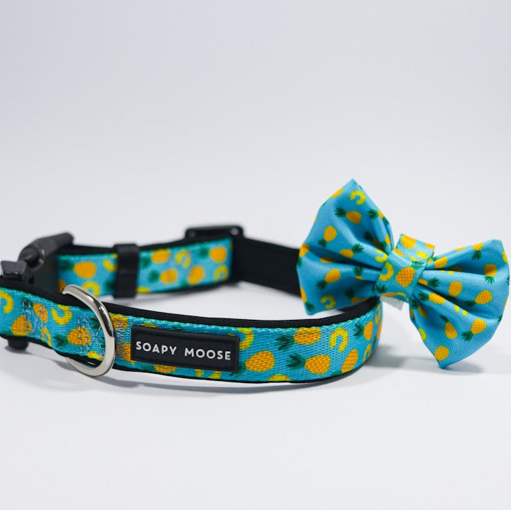SOAPY MOOSE - Pineapple Slices Collar & Bow Tie