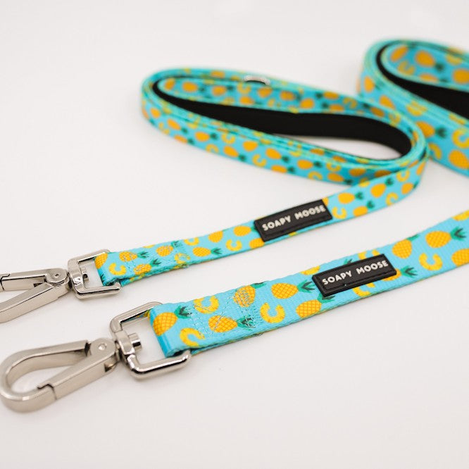 SOAPY MOOSE - Pineapple Slices Double Sided Leash