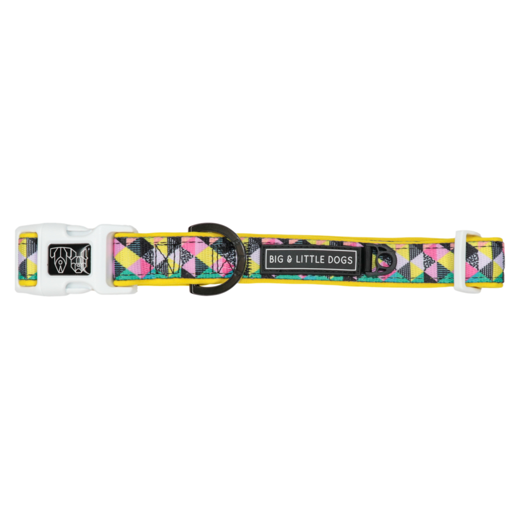 BIG & LITTLE DOGS - All-Sorts Dog Collar & Bow Tie