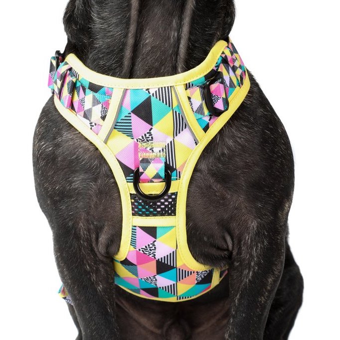 BIG & LITTLE DOGS - All-Sorts All Rounder Dog Harness