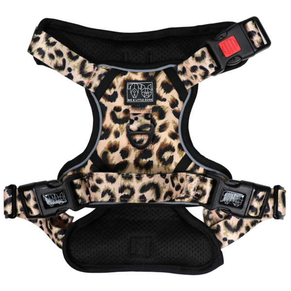BIG & LITTLE DOGS - Luxurious Leopard All Rounder Dog Harness